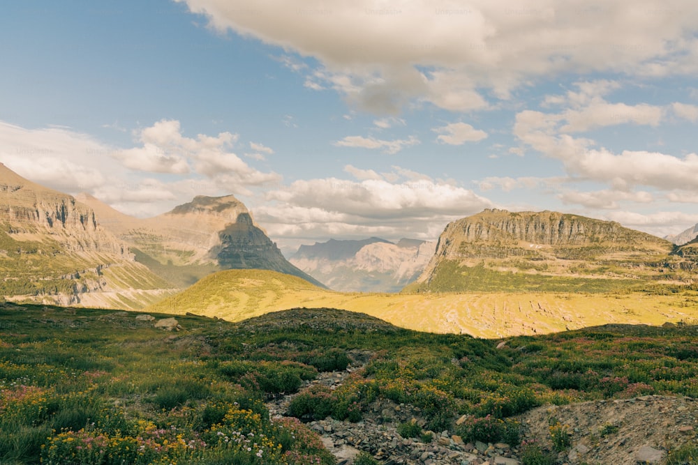 a scenic view of a valley with mountains in the background