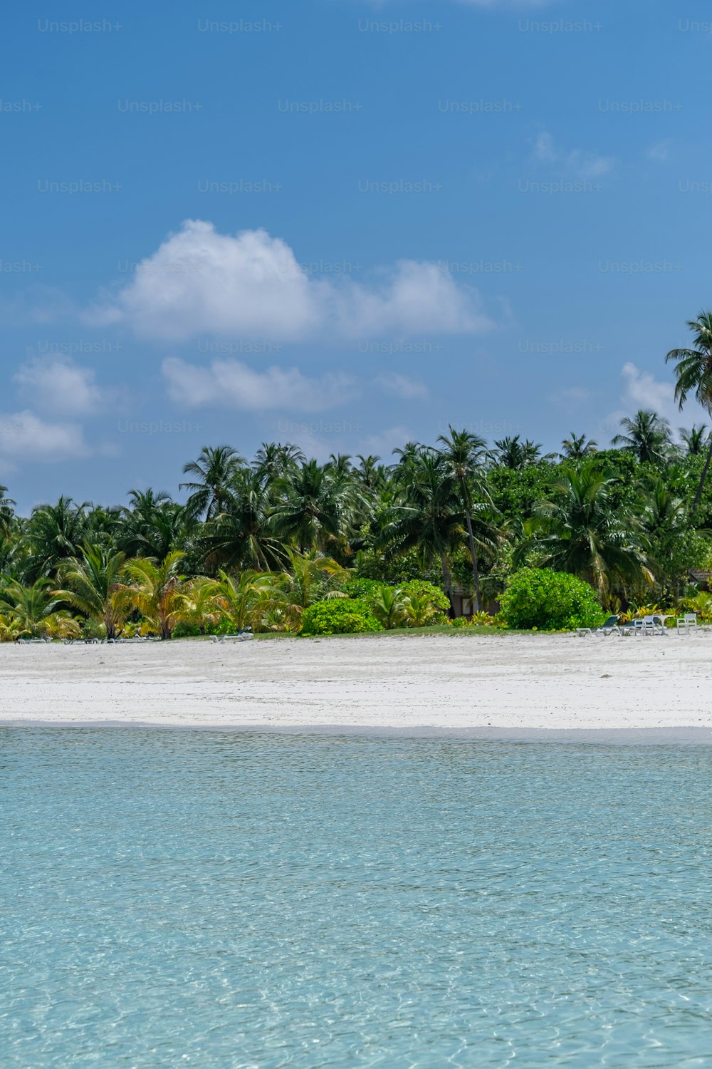 uma praia de areia com palmeiras e água azul