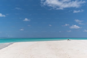 a sandy beach with clear blue water and clouds
