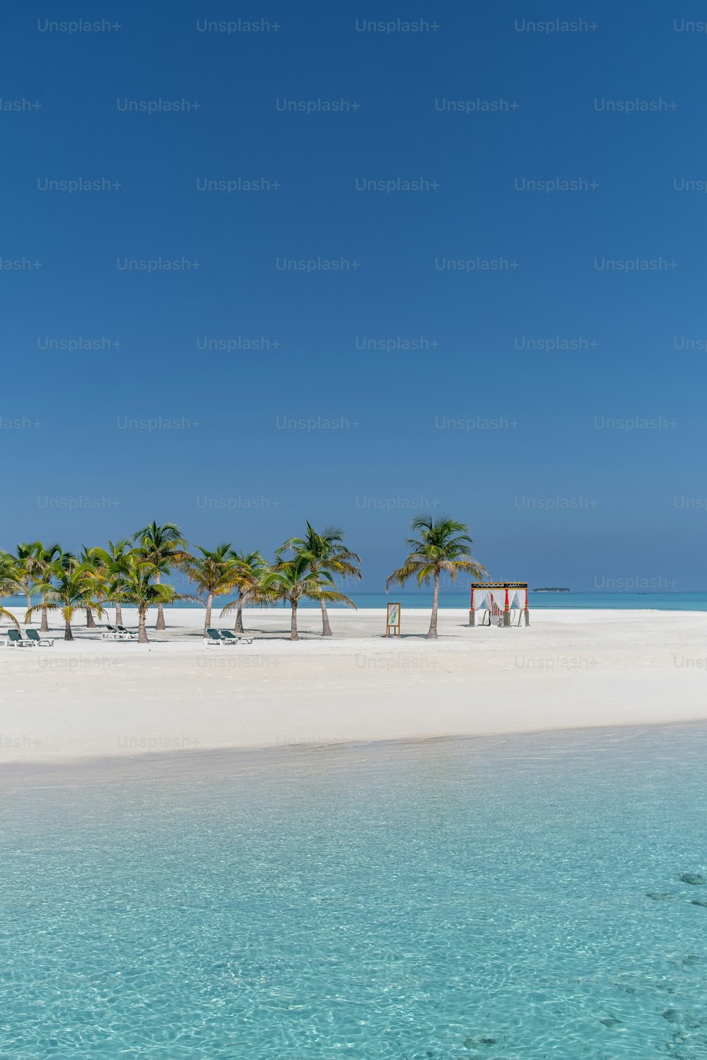 una playa de arena con palmeras y sillas