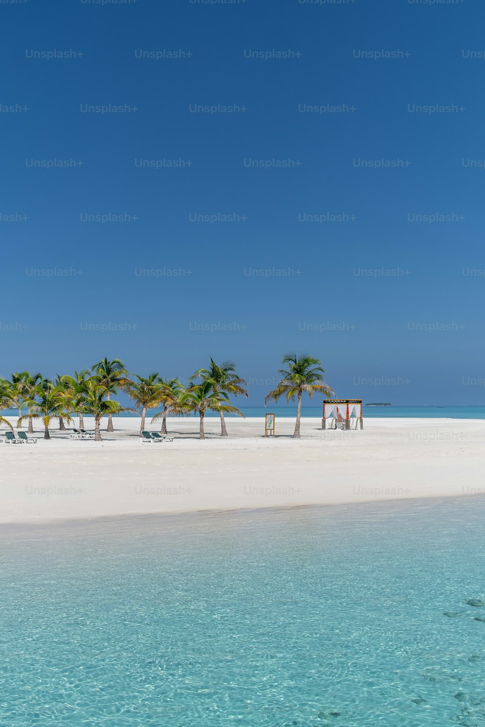 a sandy beach with palm trees and chairs
