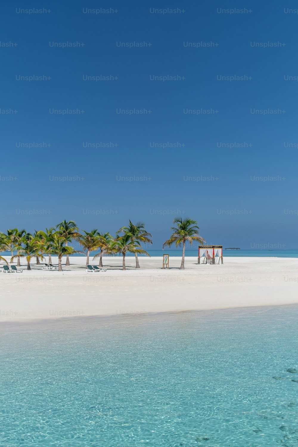 a sandy beach with palm trees and chairs