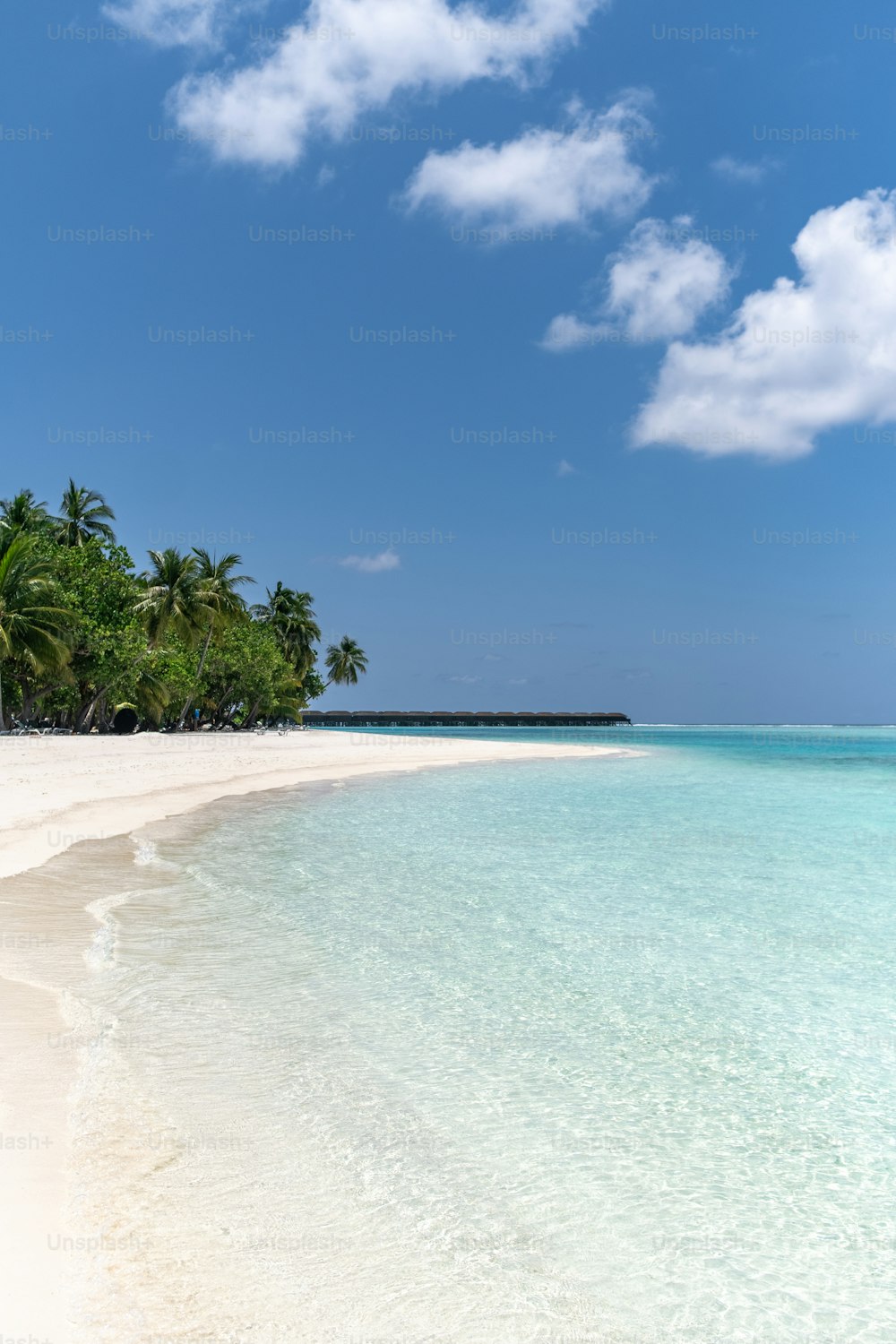 uma praia de areia branca com palmeiras e água clara