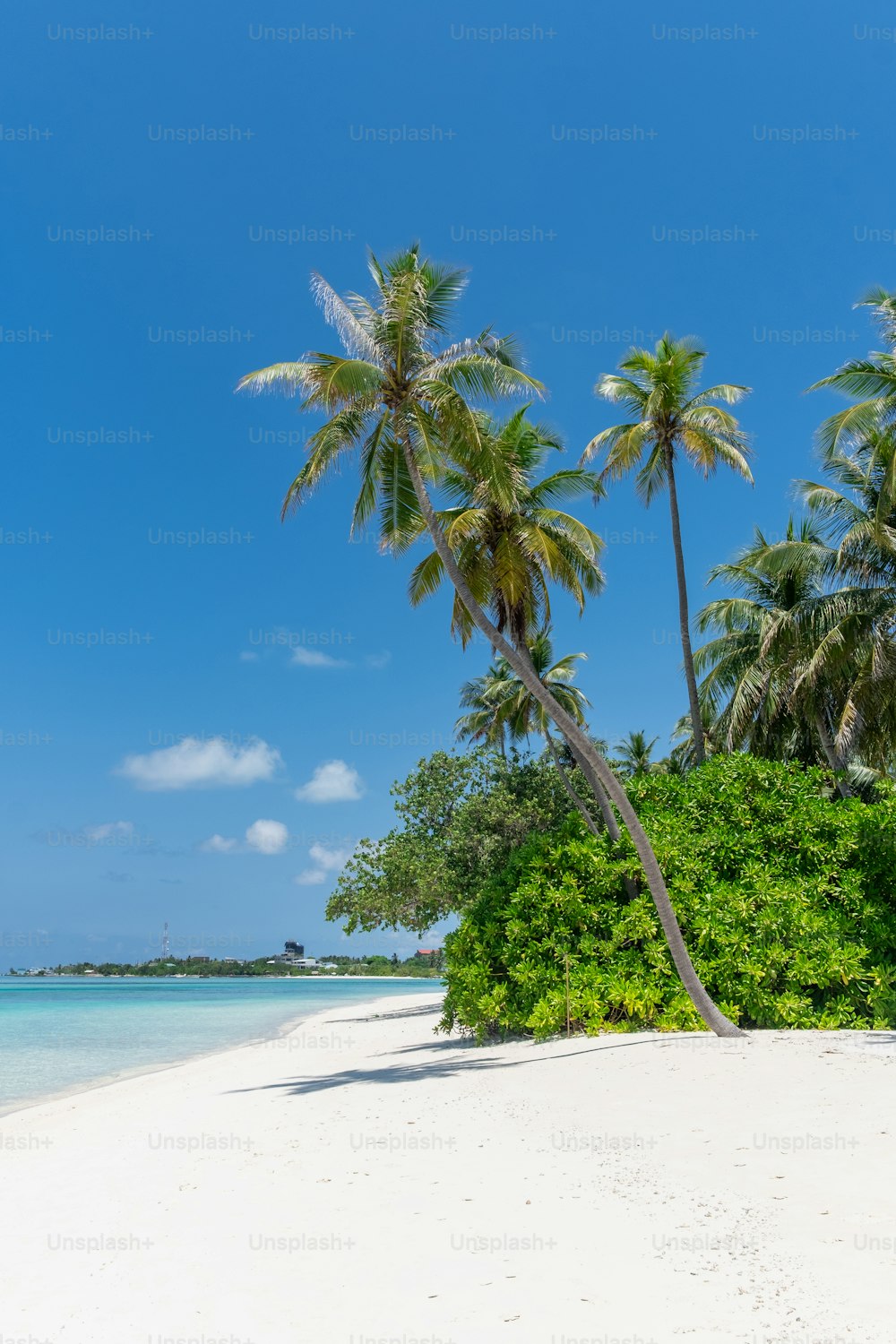 una spiaggia di sabbia con palme e cielo blu