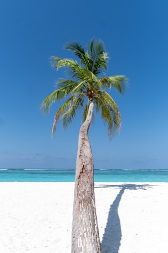 Hotel Le Barthelemy resort