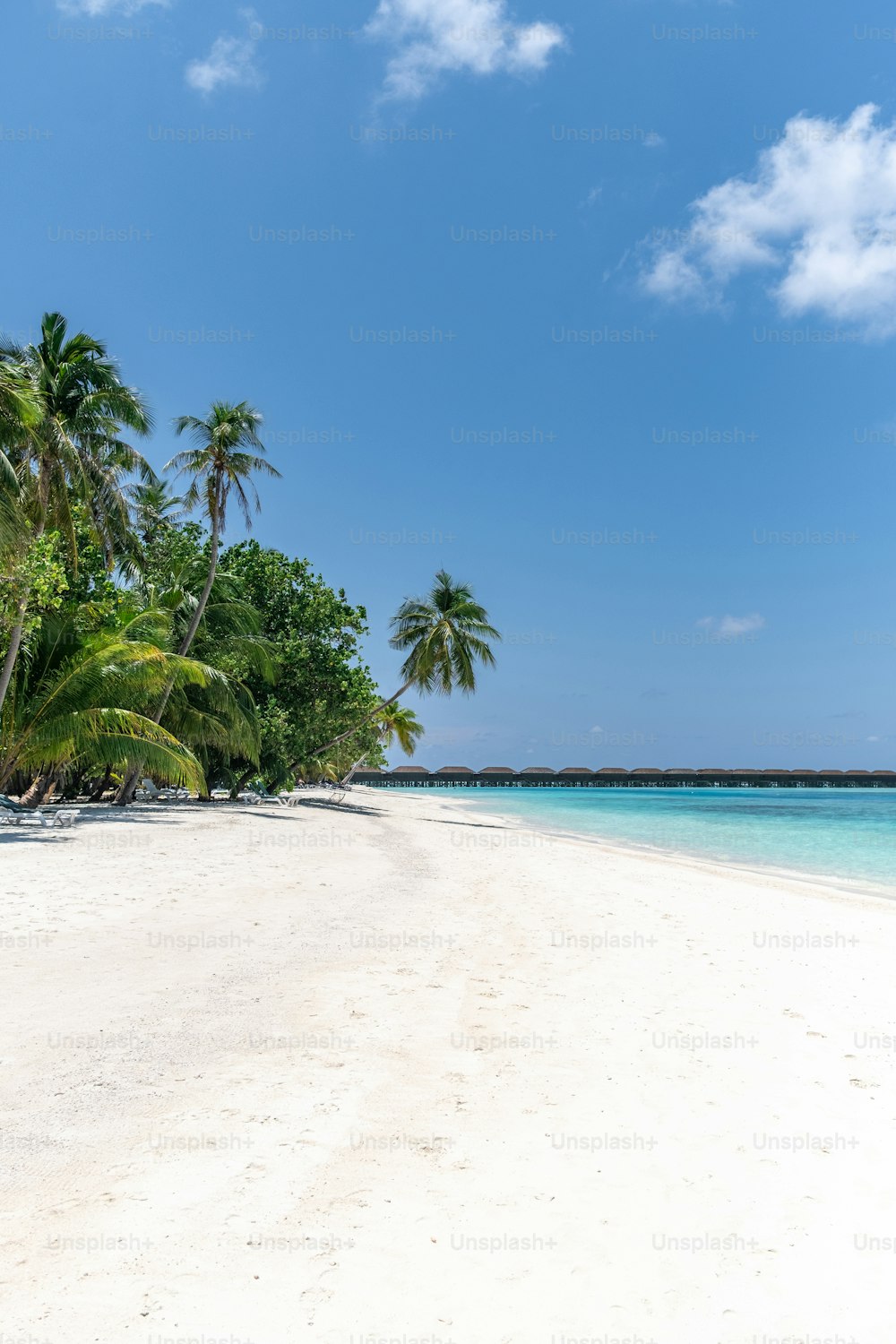 Ein Sandstrand mit Palmen und klarem, blauem Wasser