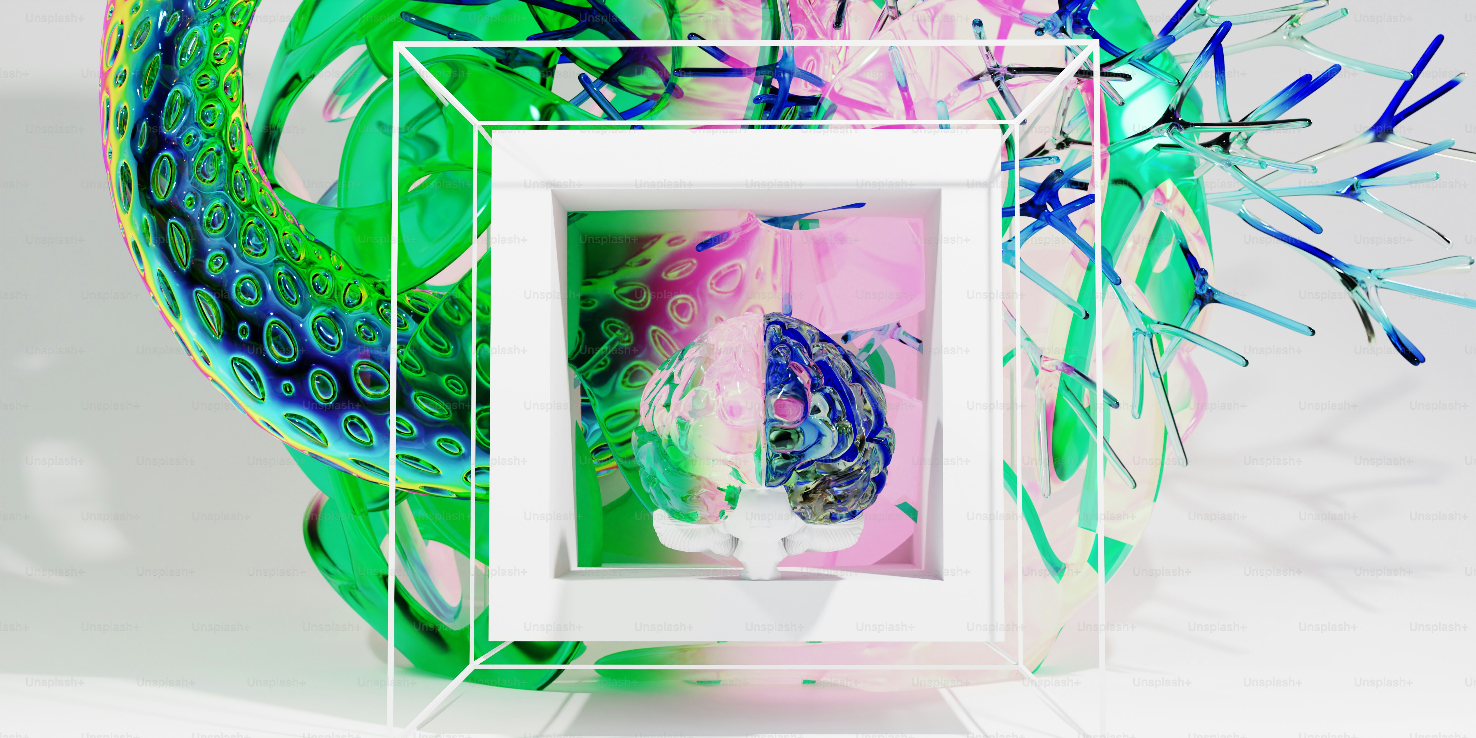 a picture frame with a picture of a peacock in it