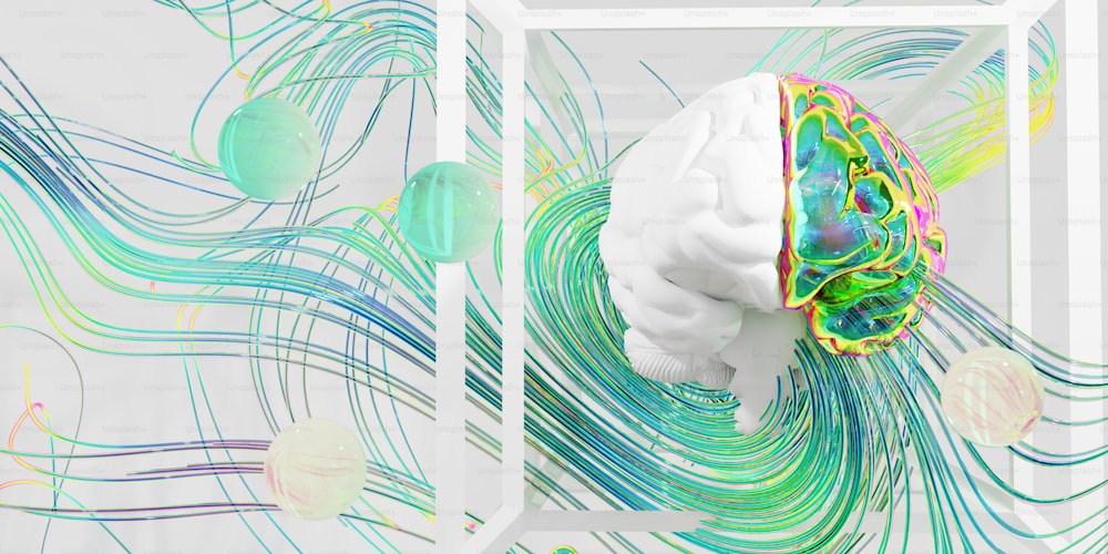 Un modelo del cerebro de un humano en una caja blanca