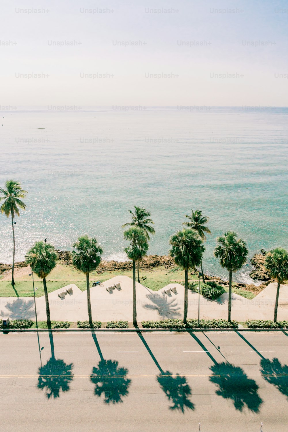 Blick auf einen Strand mit Palmen und dem Meer im Hintergrund