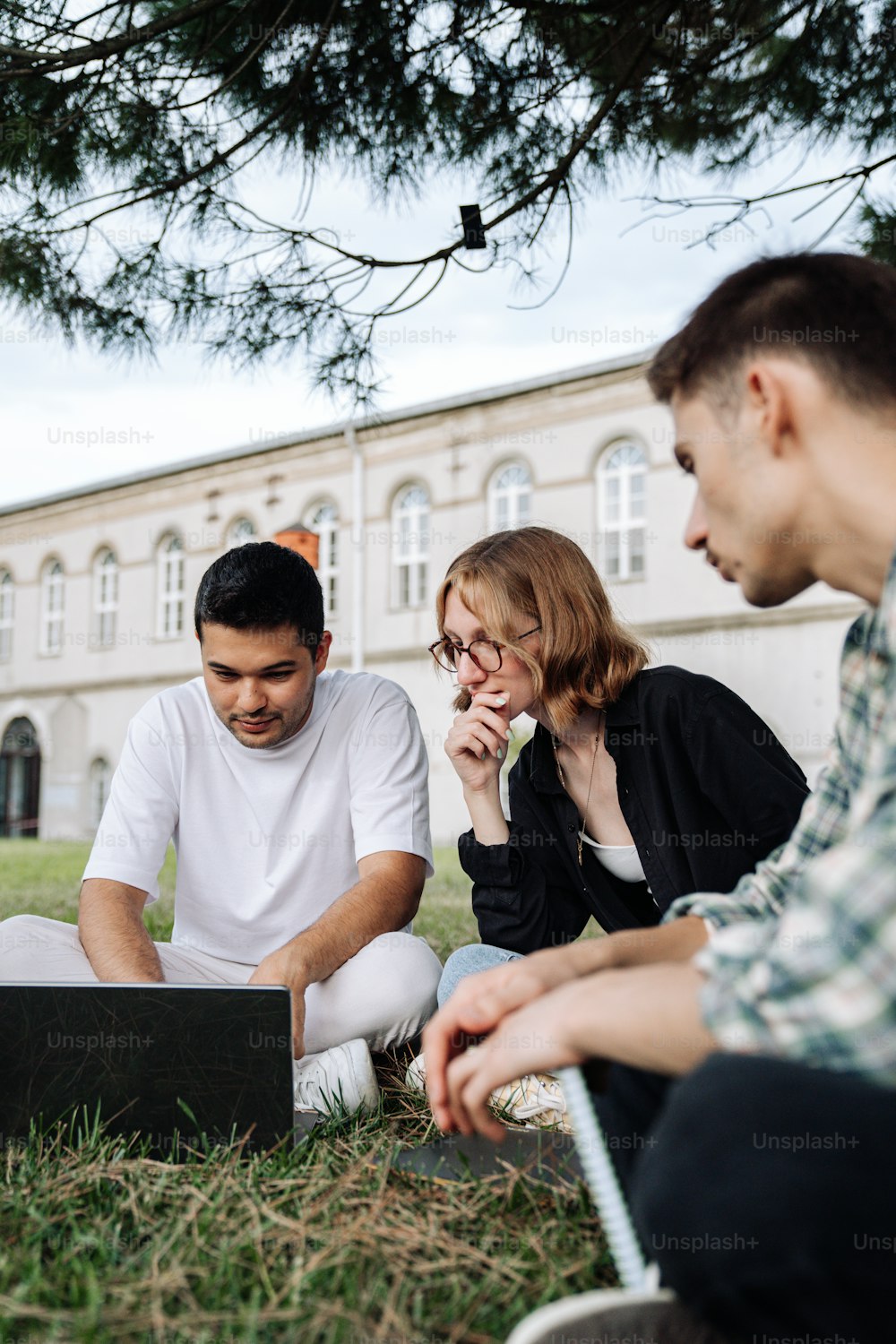 three people sitting in the grass looking at a laptop