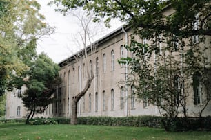 a large building with a tree in front of it