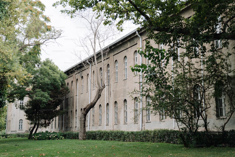 a large building with a tree in front of it