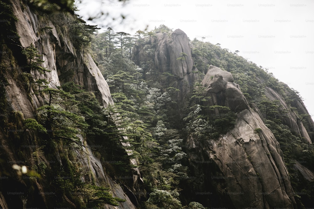 une montagne rocheuse avec des arbres qui poussent dessus