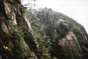 a rocky mountain with trees growing on it