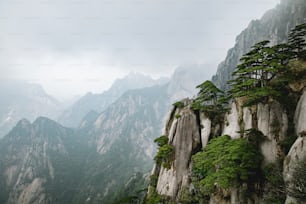 a view of a mountain range with pine trees on top of it