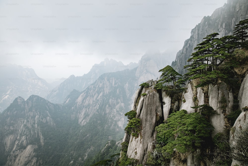 a view of a mountain range with pine trees on top of it