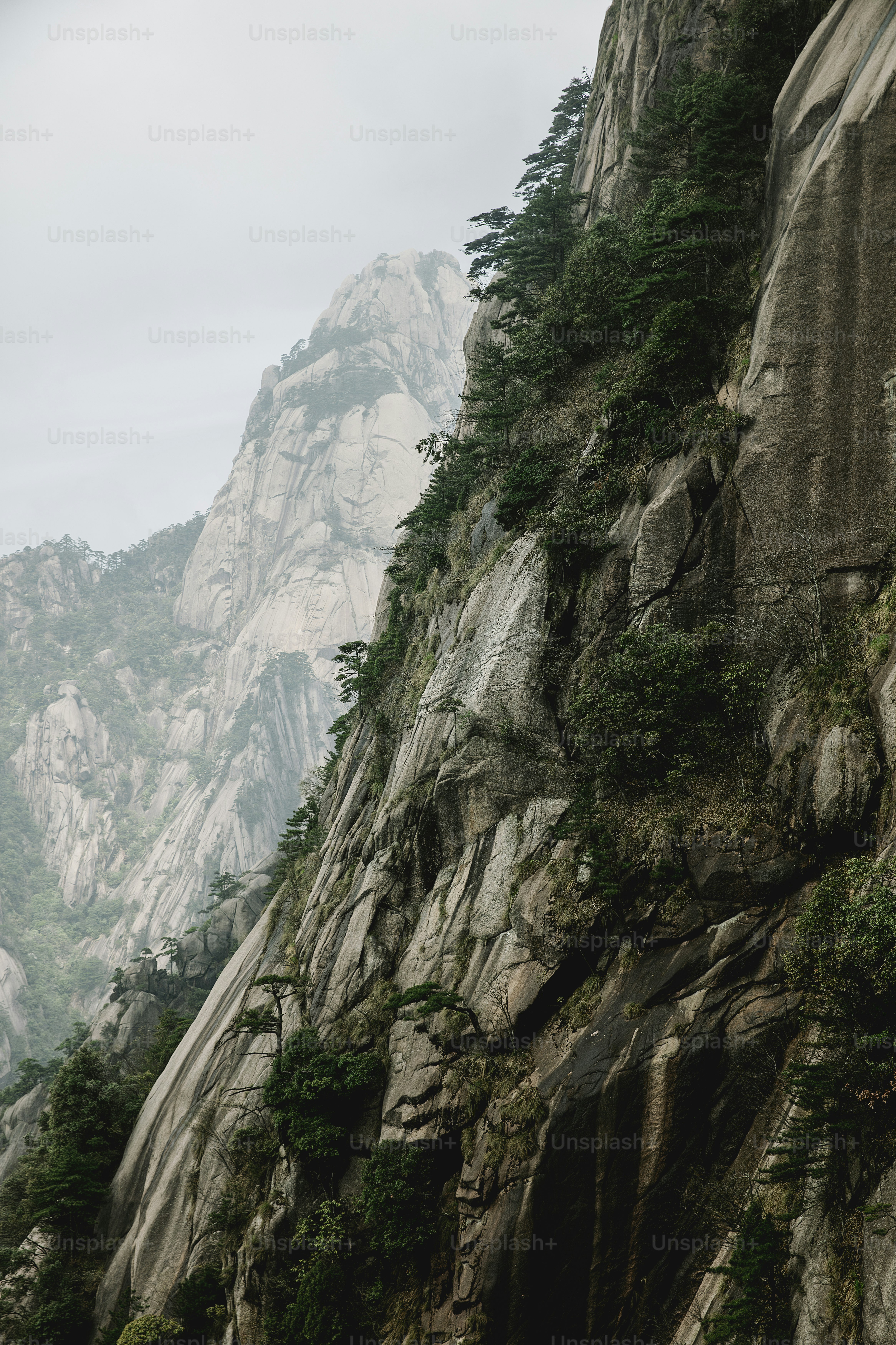 a mountain side with trees growing on the side of it
