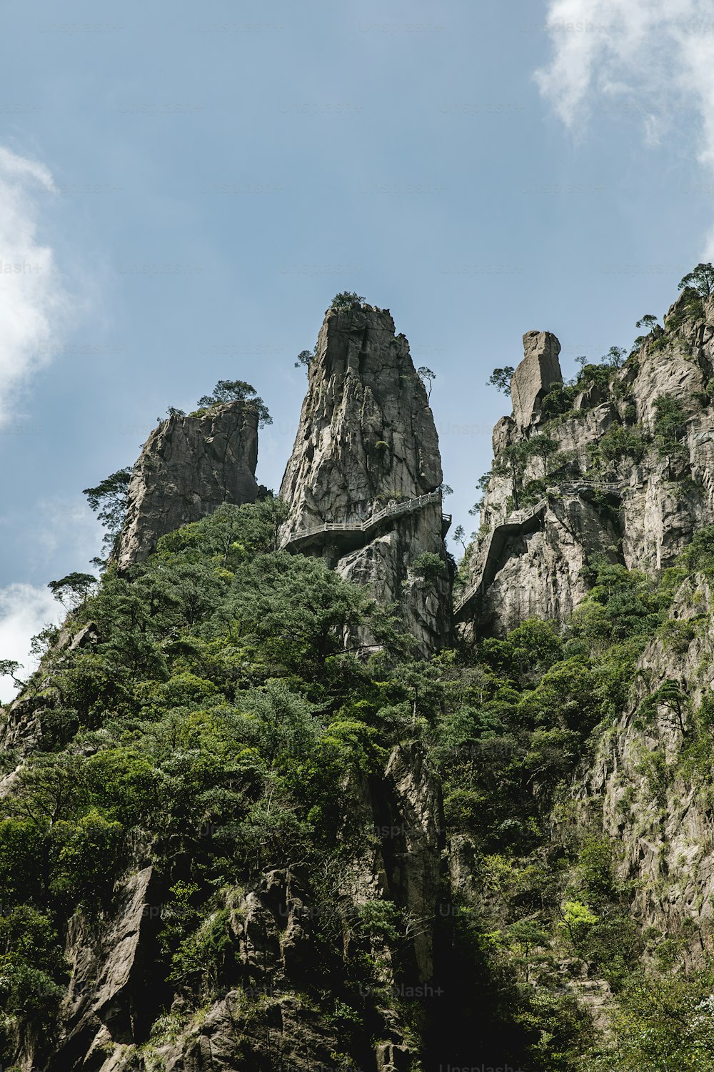 a large rock formation with trees growing on top of it