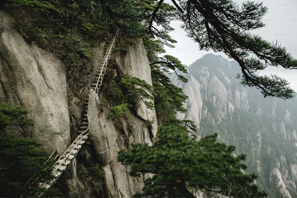 uma escada subindo o lado de uma montanha