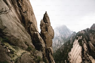 a rocky mountain with a few trees growing out of it