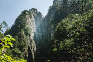 a view of a very tall mountain in the middle of a forest