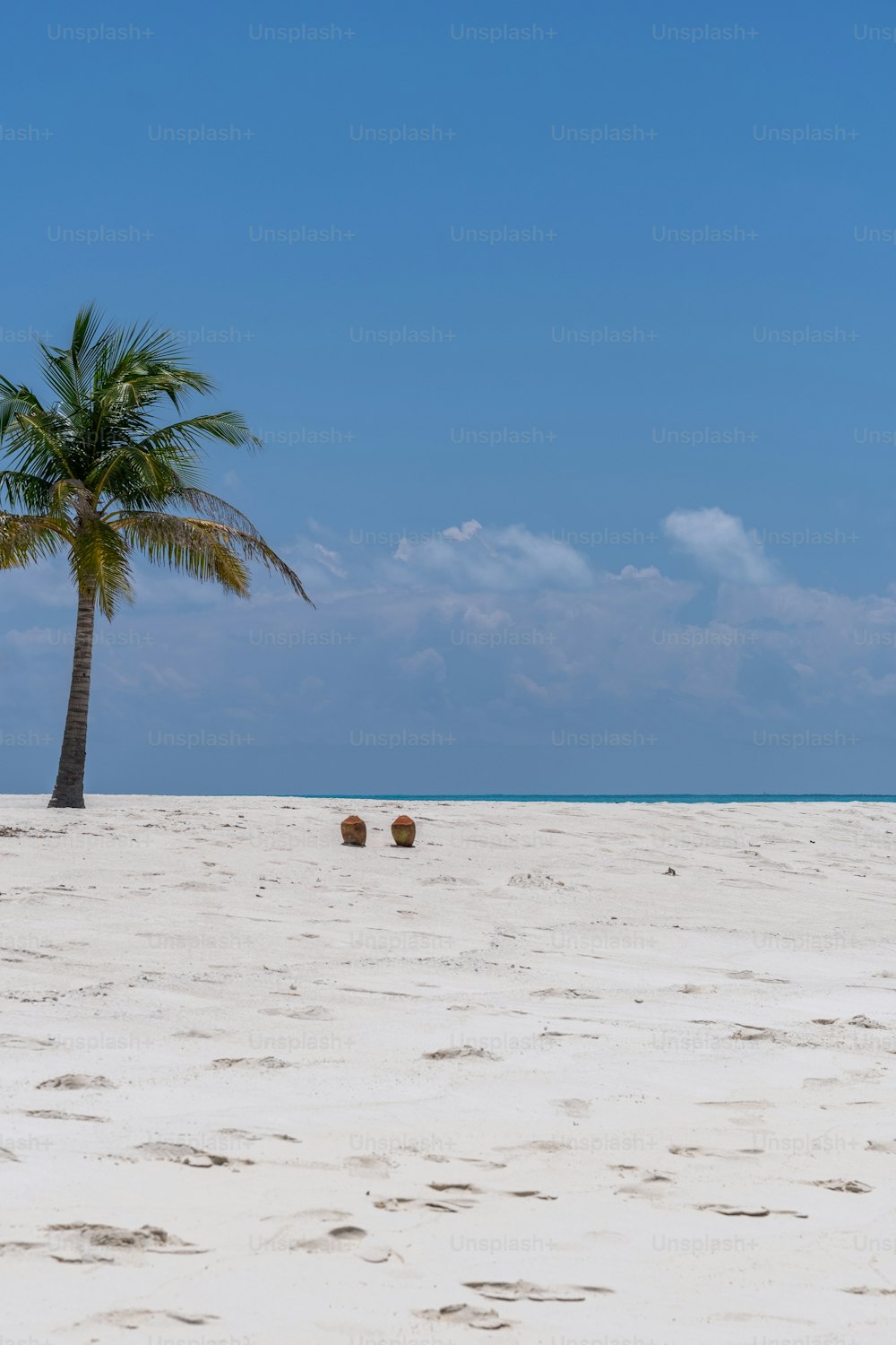 Una palmera en una playa con huellas en la arena
