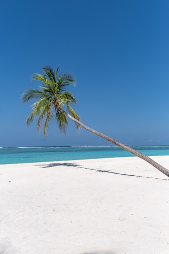 Vue Pointe Hotel resort