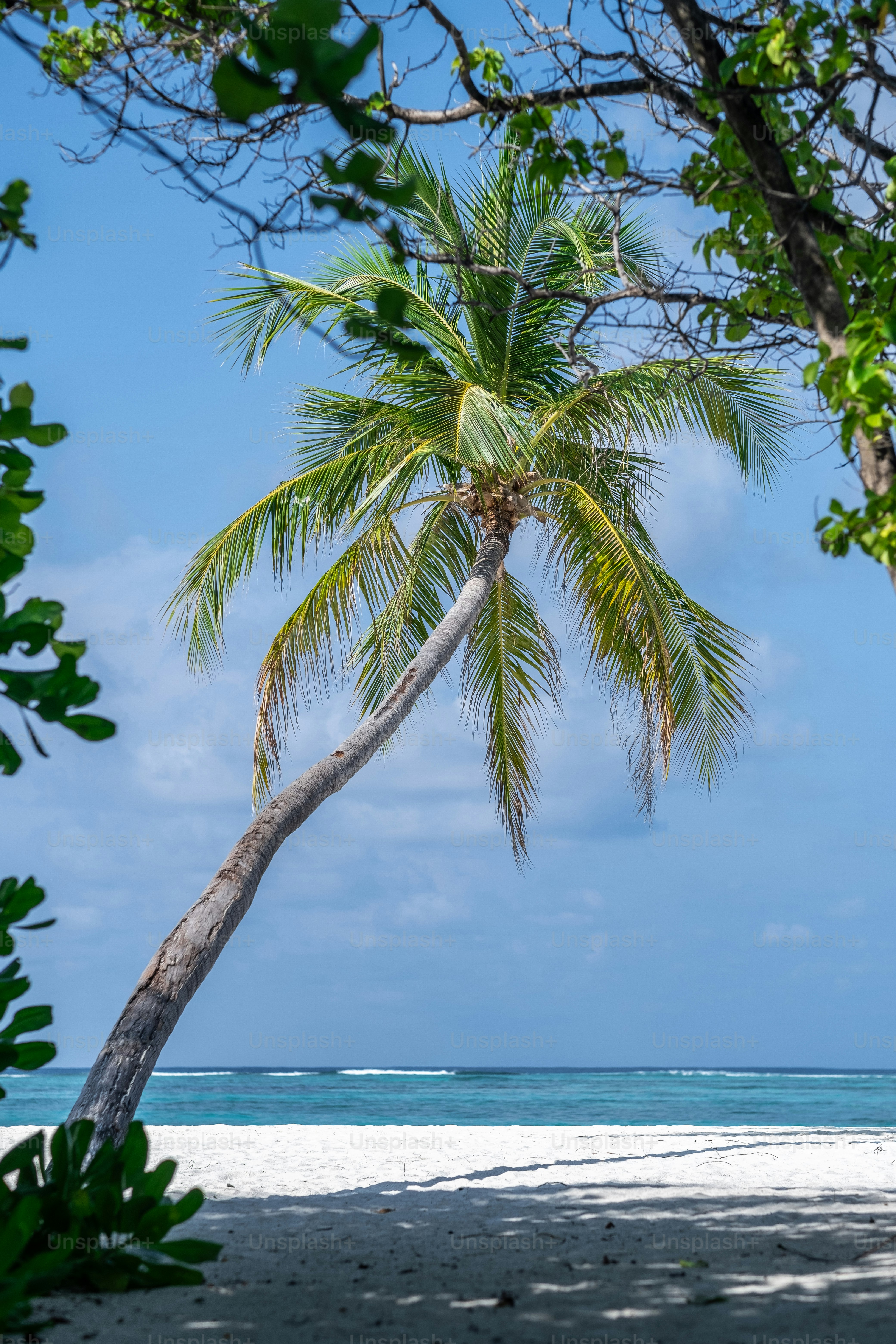 Las 500+ mejores fotos de la isla | Descargar imágenes y fotos de archivo  gratuitas en Unsplash, image size:3000x4500