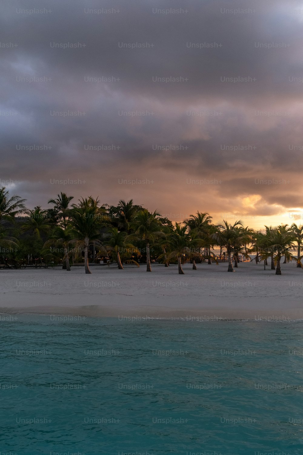 a beach with palm trees and a cloudy sky