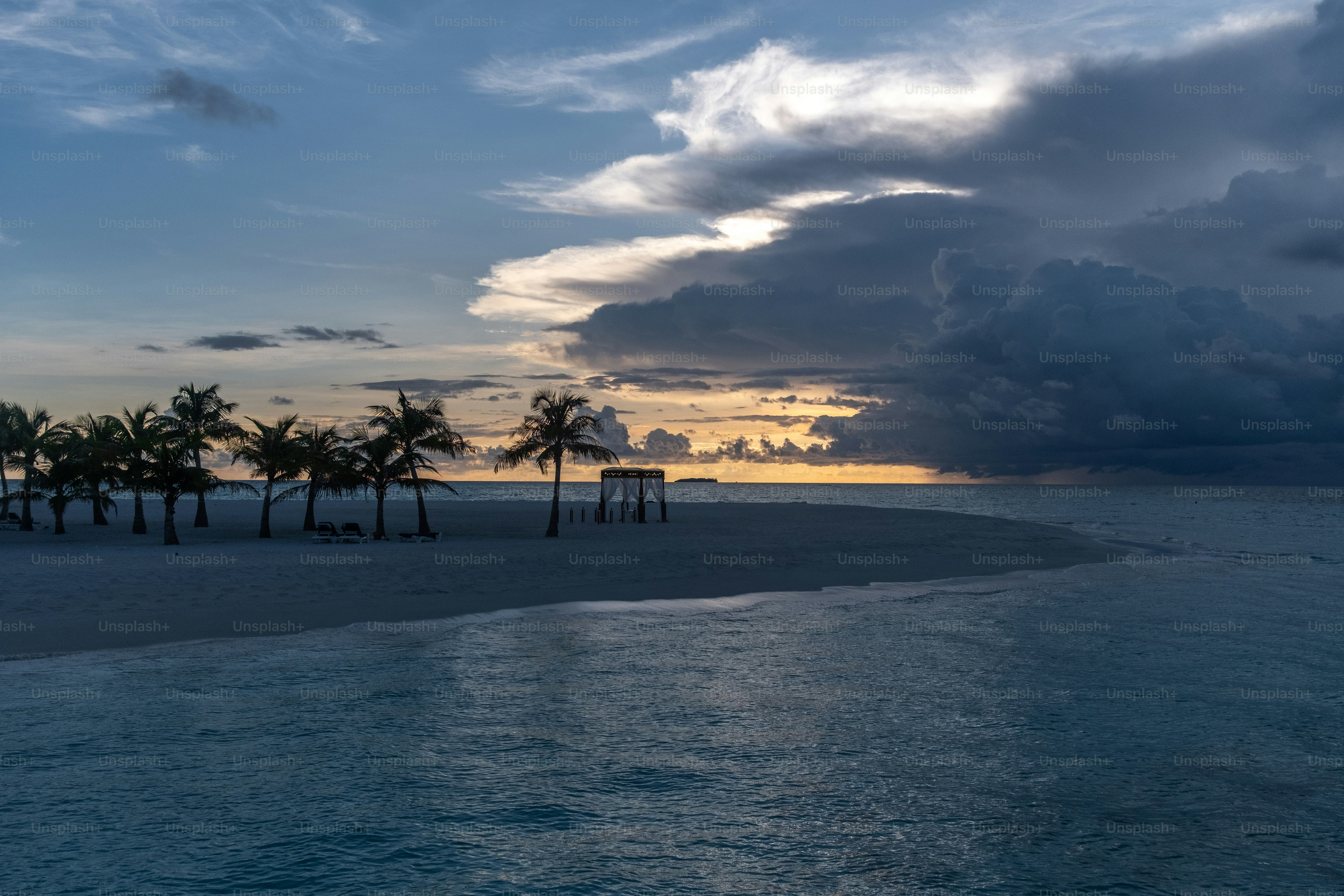 Ein Strand mit Palmen und einem bewölkten Himmel