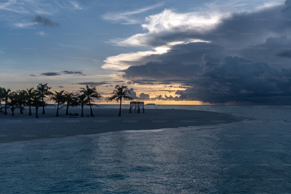 a beach with palm trees and a cloudy sky