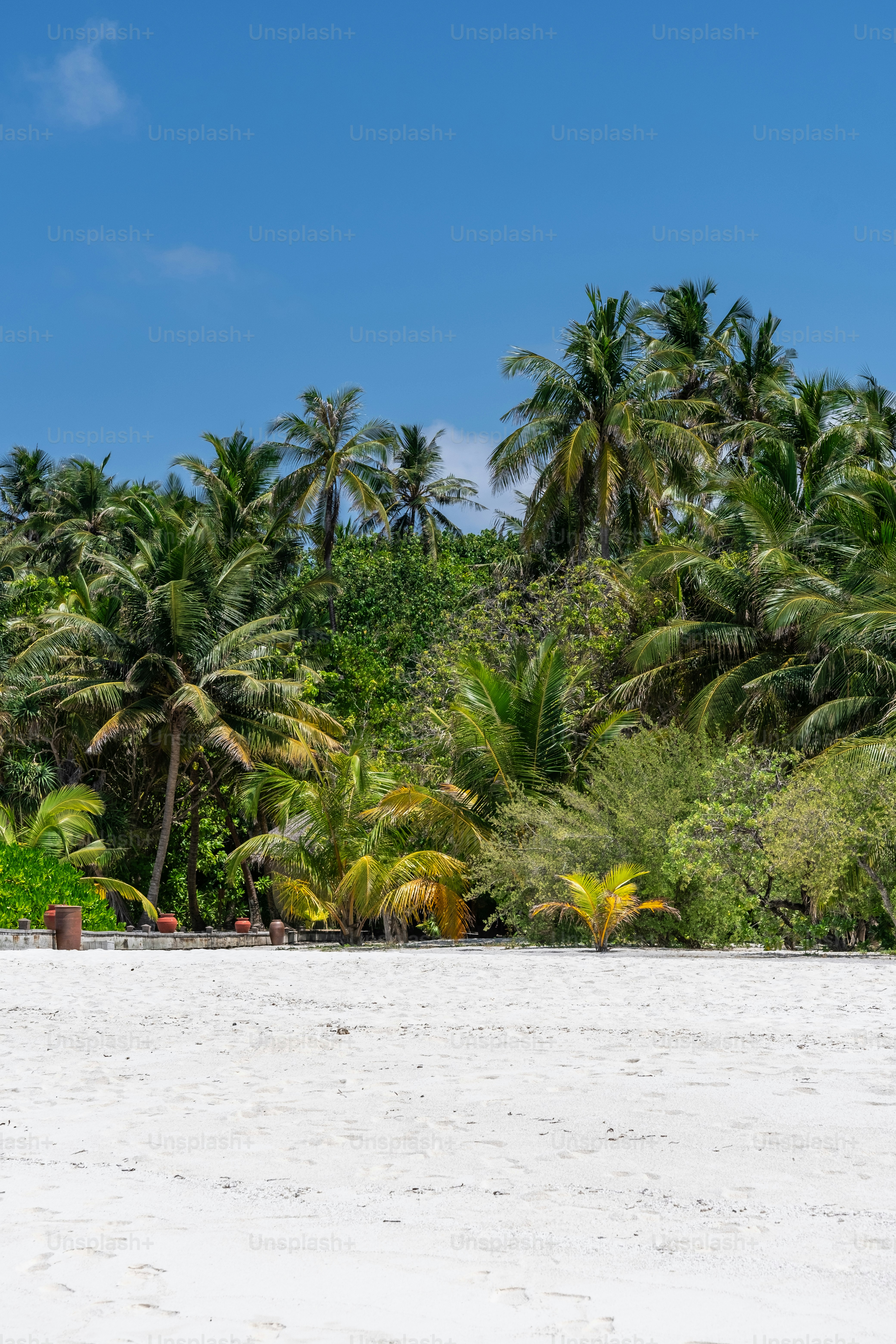 Coconut Grove, Northern Territory