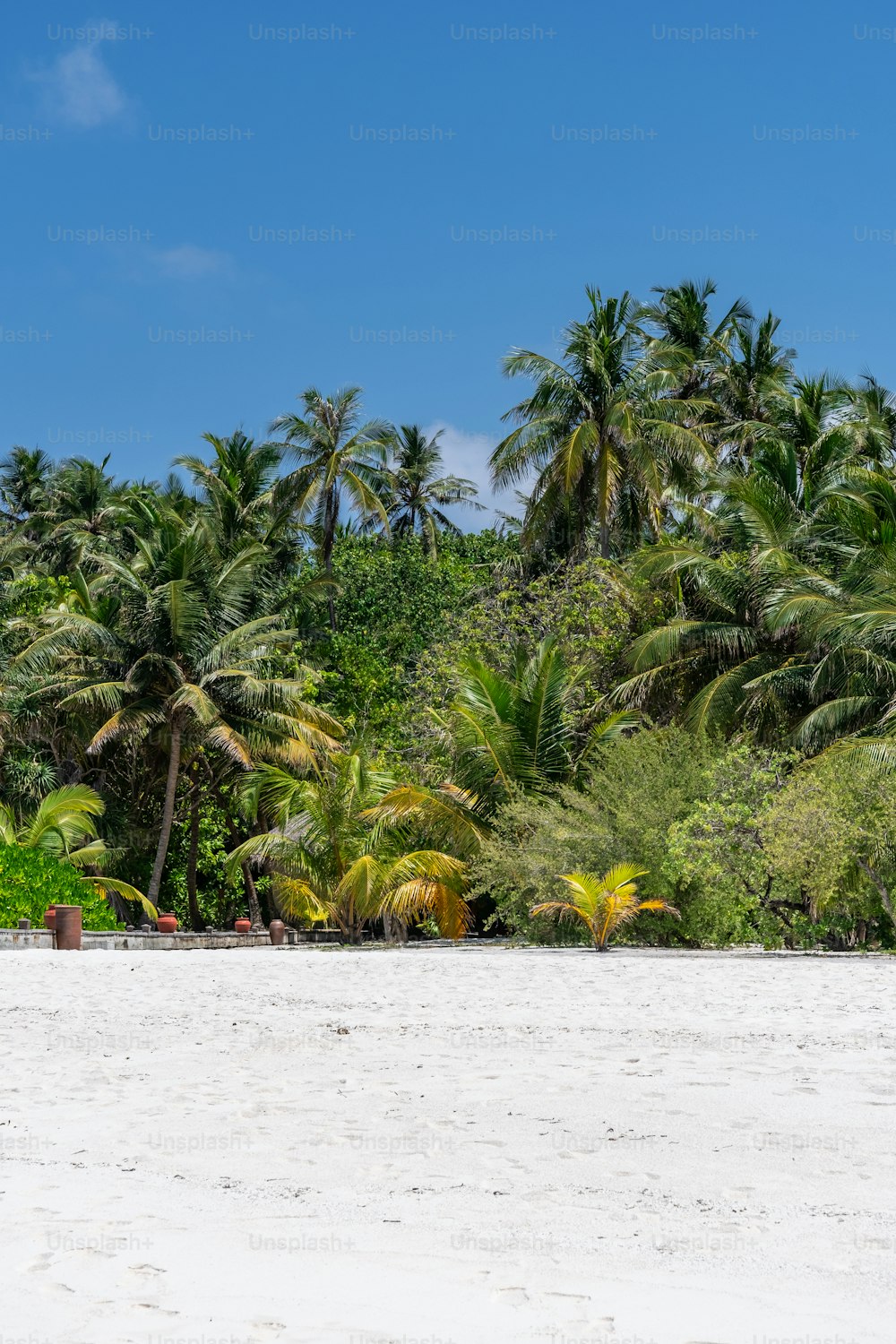 uma praia de areia branca rodeada por palmeiras