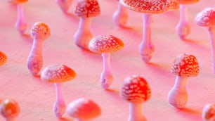 Un grupo de pequeños hongos sentados encima de una mesa
