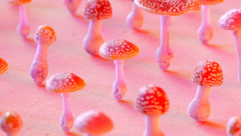 um grupo de pequenos cogumelos sentados em cima de uma mesa