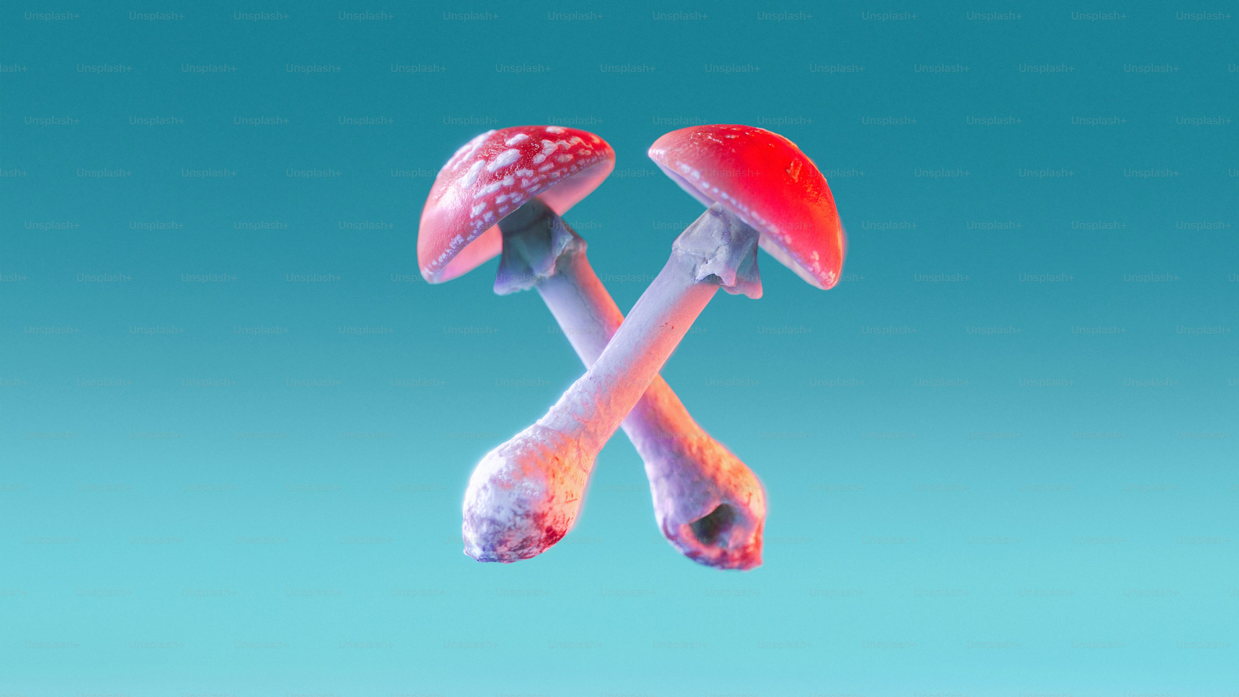a couple of red mushrooms sitting on top of each other
