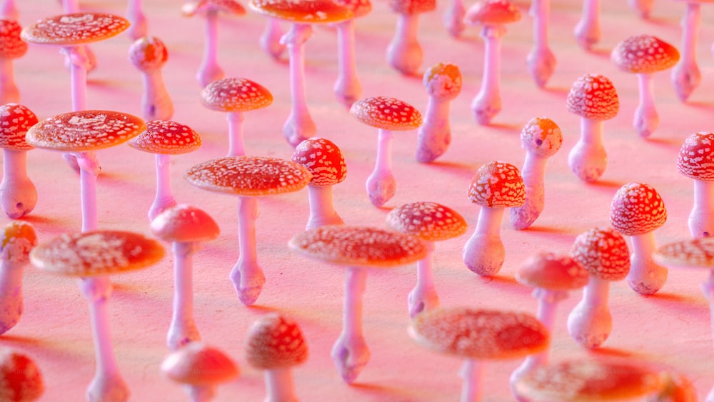 Un grupo de pequeños hongos sobre una superficie rosada