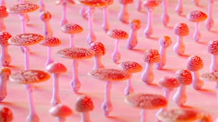 um grupo de cogumelos minúsculos em uma superfície rosa