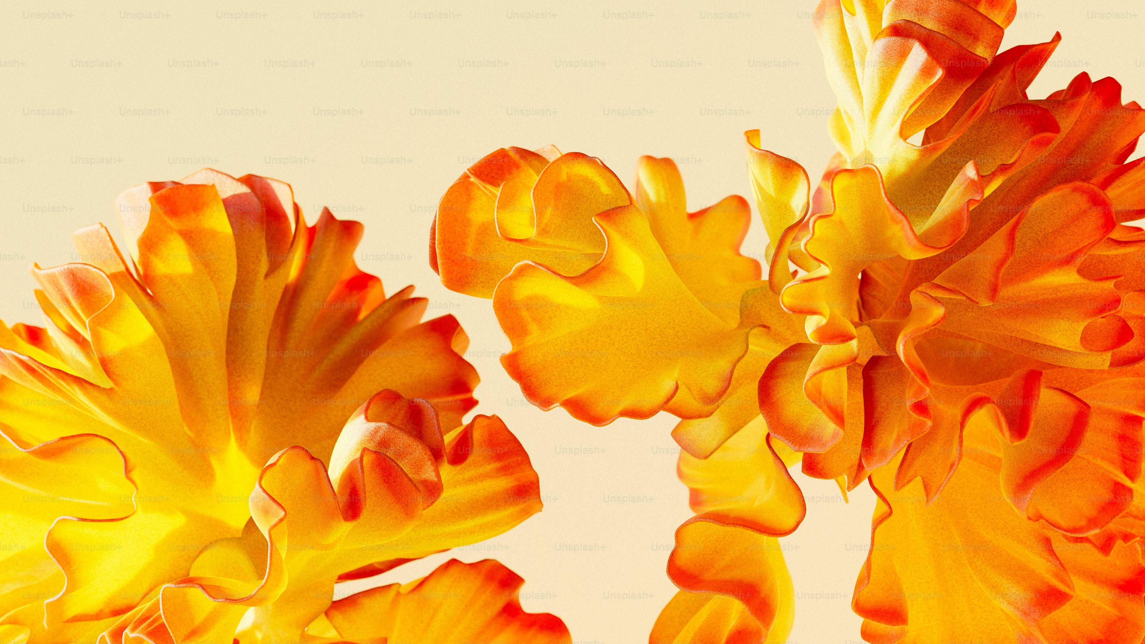 a close up of a yellow and red flower