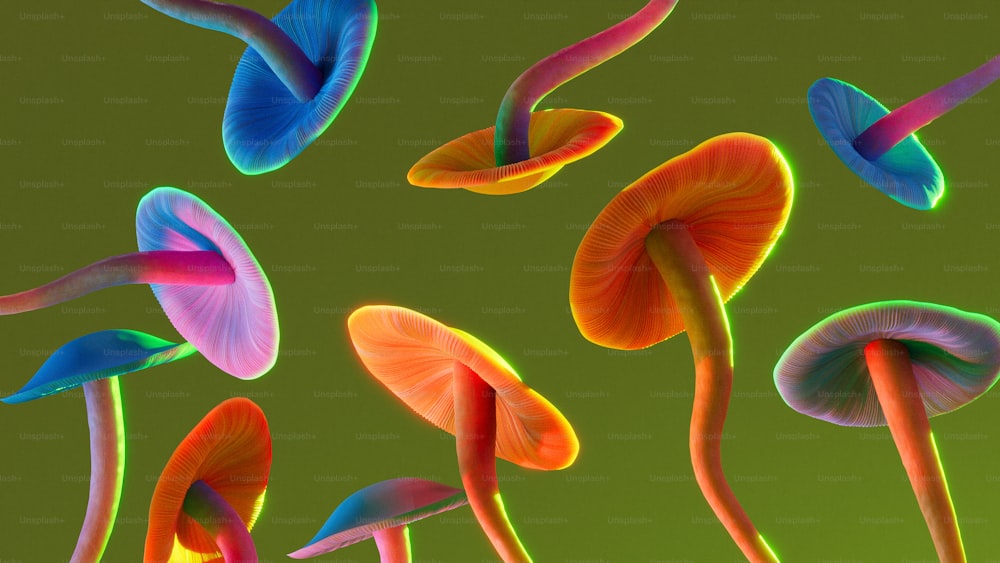 Eine Gruppe bunter Pilze auf grünem Hintergrund