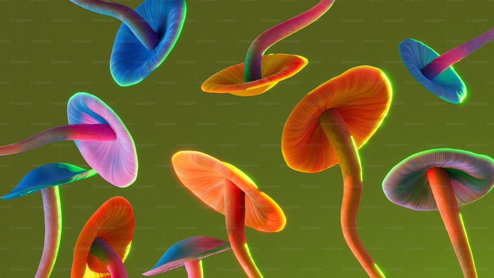 a group of colorful mushrooms on a green background