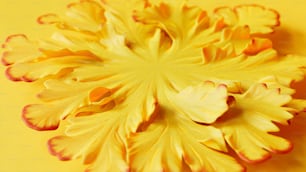 Un primo piano di un fiore giallo su uno sfondo giallo