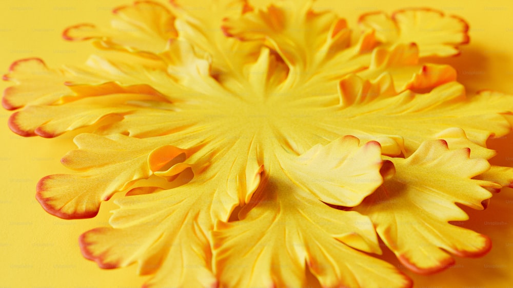 a close up of a yellow flower on a yellow background