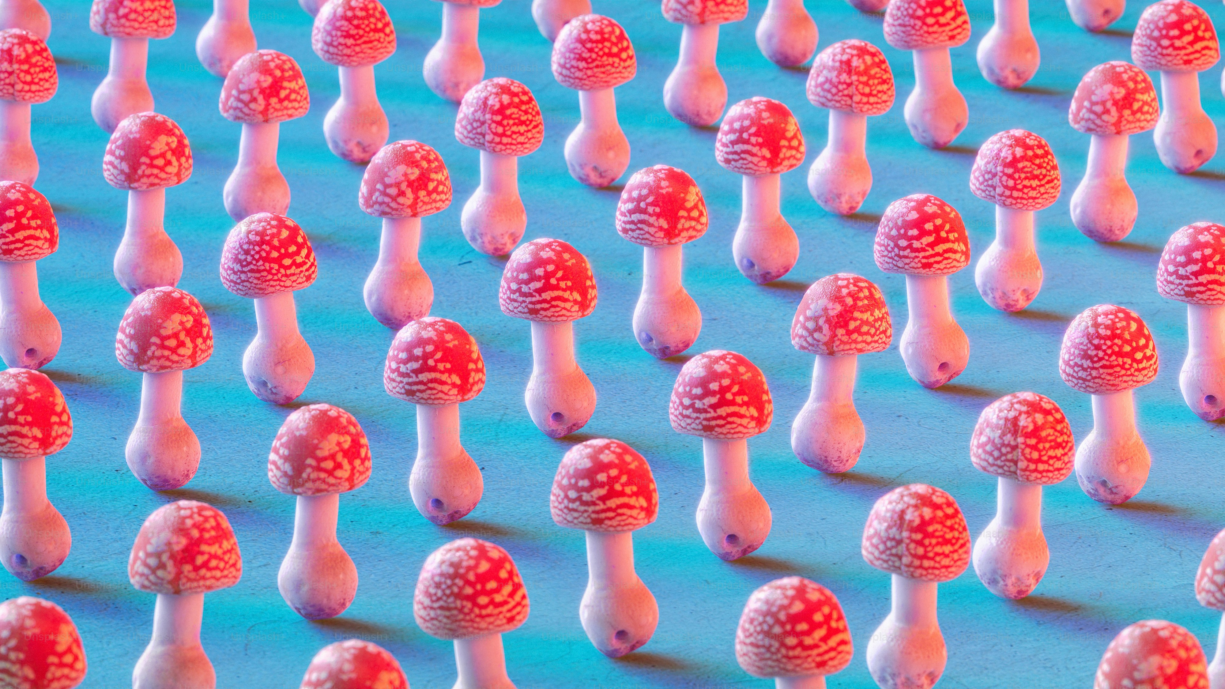 a group of red and white mushrooms on a blue surface