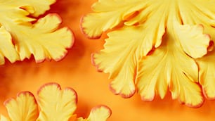 um grupo de folhas amarelas em uma superfície amarela