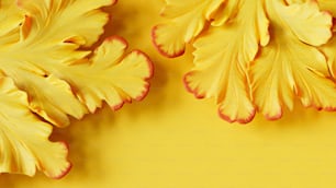 Nahaufnahme von gelben Blättern auf gelbem Hintergrund