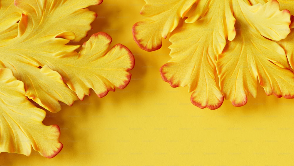 a close up of yellow leaves on a yellow background