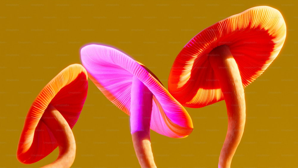 a couple of colorful mushrooms sitting on top of each other