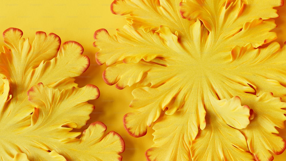 Un primer plano de flores amarillas sobre un fondo amarillo