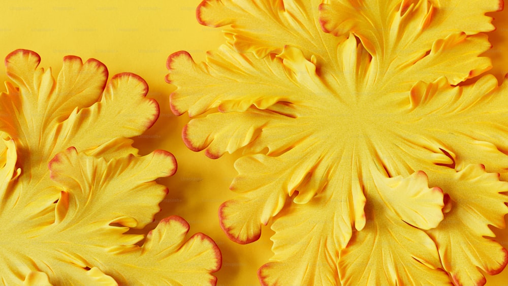 a close up of yellow flowers on a yellow background